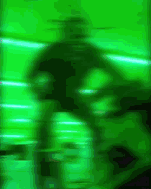 a blurry picture of a person standing in front of a green wall