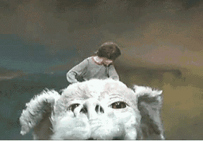 a man is riding on the back of a large white dog .