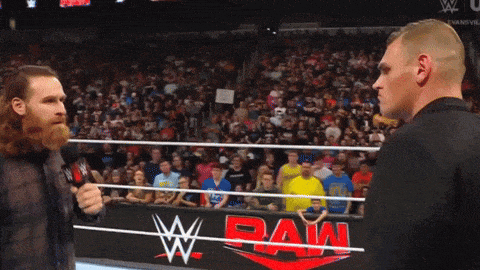 a blurry picture of a wrestling match with the word raw on the bottom right