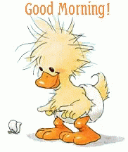 Duck Good Morning GIF - Duck Good Morning I Boop You GIFs