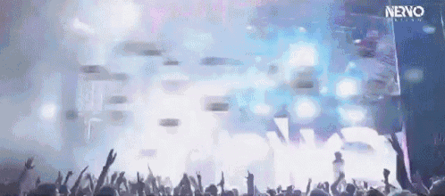 a crowd of people at a concert with the word neno on the bottom left