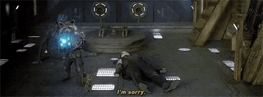 a man laying on the floor with the words i 'm sorry on the bottom
