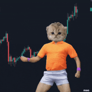 a cat wearing an orange shirt and white shorts is standing in front of a stock chart
