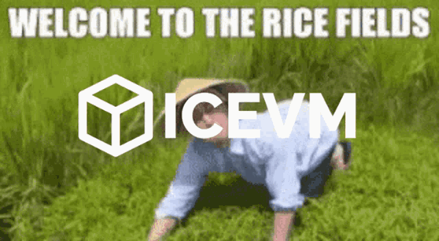 Icevm Ricevm GIF - Icevm Ricevm Rice GIFs