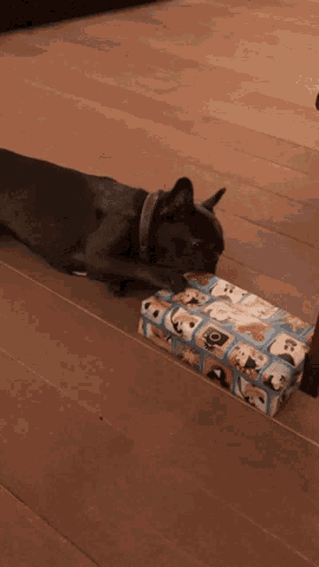 a cat laying on a wooden floor next to a wrapped gift that says ' o ' on it