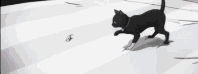 a black dog is crawling on a white surface with the words " kycb " in red