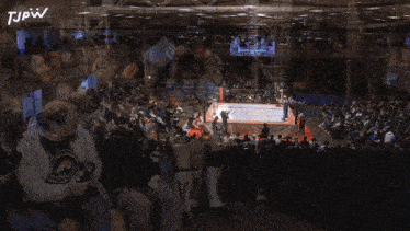 a group of people watching a wrestling match with the letters tjpw in the upper right corner