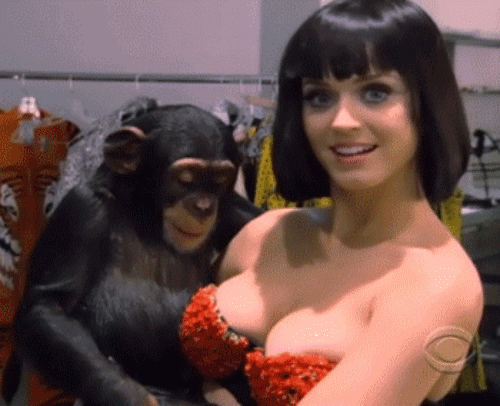 The Flirty Male Friend With A Girlfriend GIF - Katy Perry Monkey Boob GIFs
