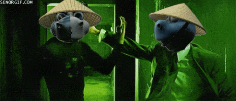 two hippos wearing conical hats are giving each other a high five in a green room