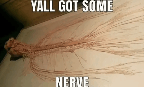 Nerves GIF - Nerves GIFs