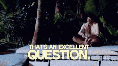 a man sits on a surfboard with the words " that 's an excellent question " behind him