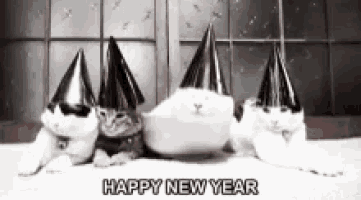 a group of cats wearing party hats with the words happy new year on the bottom