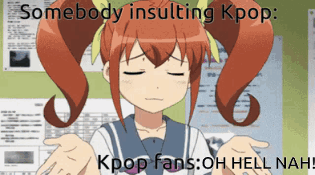 somebody insulting kpop kpop fans : oh hell nah