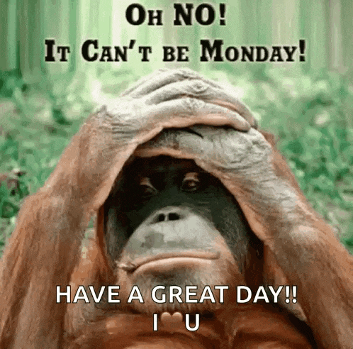 a monkey covering its face with its hands with the words oh no it can 't be monday have a great day