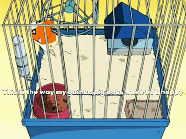 a cartoon of a guinea pig in a cage that says this is the way