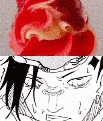 a close up of a red flower next to a black and white drawing of a face