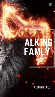 a book called alking family by alking ali has a lion on the cover