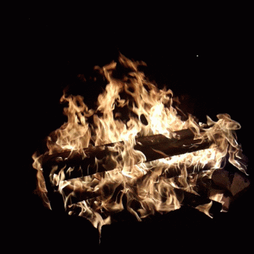 Fire Campfire GIF - Fire Campfire Pretty Fire GIFs