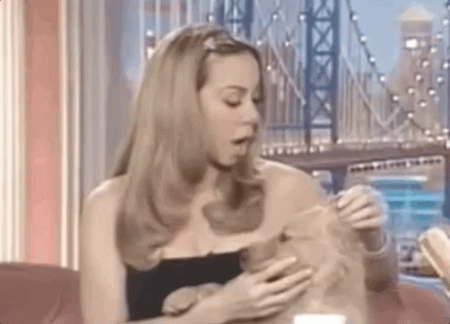 Mariah Carey Funny Animals GIF - Mariah Carey Funny Animals Puppy GIFs
