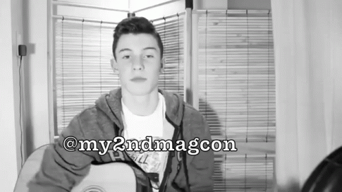Shawn Mendes GIF - Shawnmendes GIFs