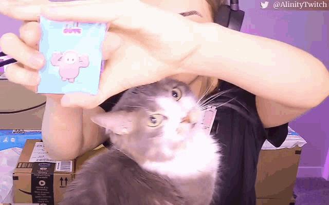 a woman is holding a cat and a sticker that says cutie
