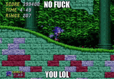 a screenshot of sonic the hedgehog with the words no fuck you lol