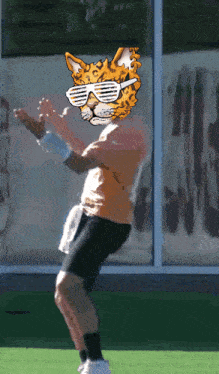 a man with a leopard head and sunglasses on his face
