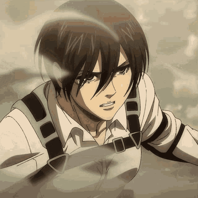 Mikasa Attack GIF - Mikasa Attack On GIFs