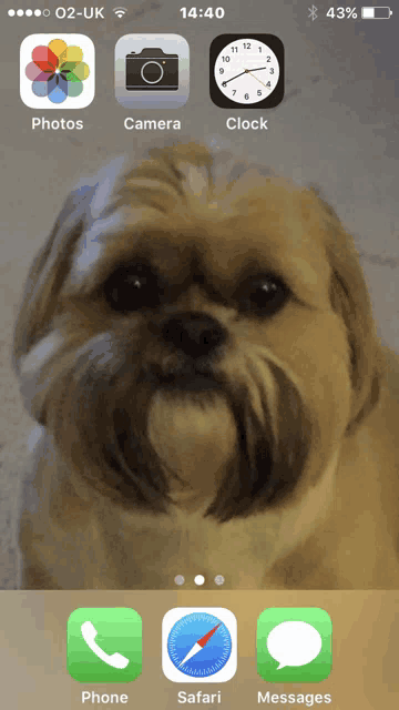a phone screen shows a dog and a clock and the time is 14:40
