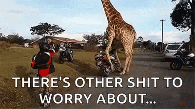 Other Shit To Worry About Giraffe GIF - Other Shit To Worry About Giraffe Motorcycle GIFs