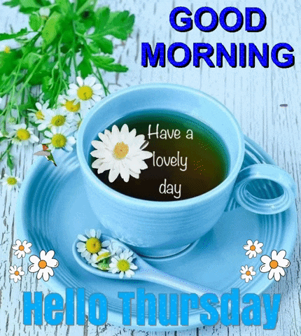 a blue cup of tea with a flower on it and the words good morning have a lovely day