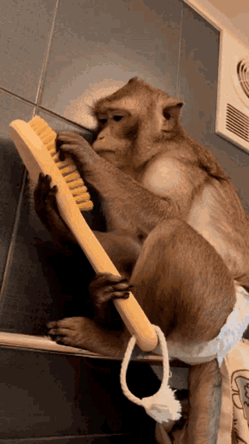 Monkey Brush GIF - Monkey Brush Cute GIFs