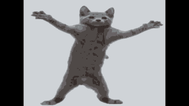 a gray cat with its arms outstretched is standing next to a white cat