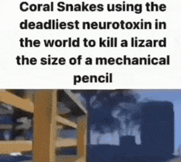 Snakes Call Of Duty GIF - Snakes Snake Call Of Duty GIFs