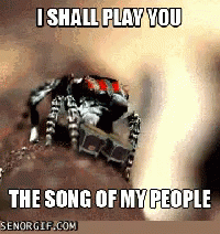 Spider Song GIF - Spider Song Play GIFs