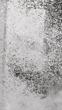 a black and white photo of a bunch of confetti falling from the sky .