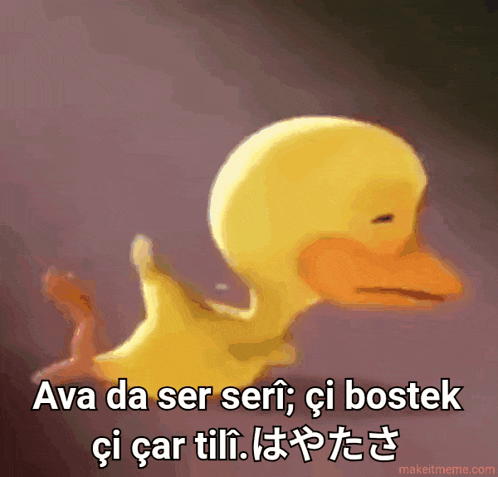 a picture of a duck with the words ava da ser serf ci bostek on it