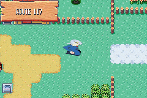 a screenshot of a video game shows a route 117 sign