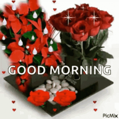 Good Morning Blessed Day GIF - Good Morning Blessed Day Great Day GIFs