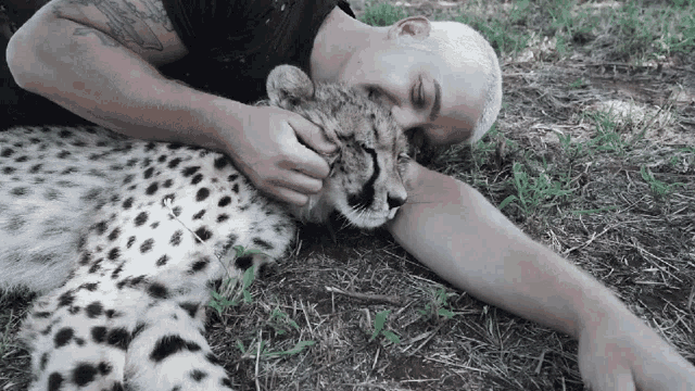 Animal Lover Dean Schneider GIF - Animal Lover Dean Schneider Spotted Cheetah GIFs