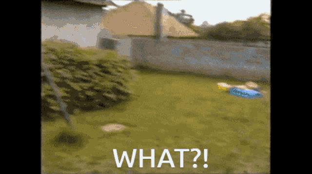 a blurred image of a backyard with the words what written in white letters