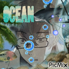 a picture of a boy with glasses and a shark says ocean