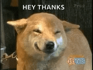 a shiba inu dog is smiling and making a face with the words `` hey thanks '' behind it .