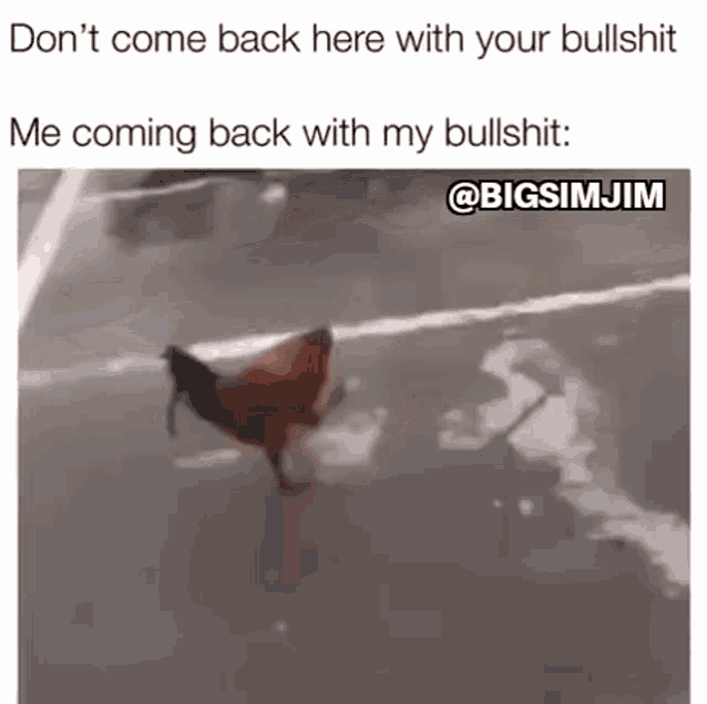 Bullshit Chicken GIF - Bullshit Chicken Marching GIFs