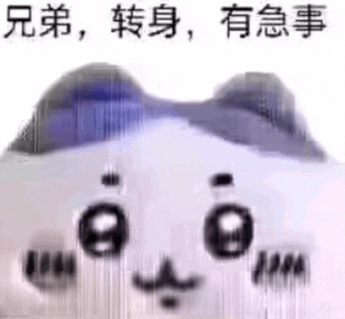 a white cat with a blue bow on its head is making a face .
