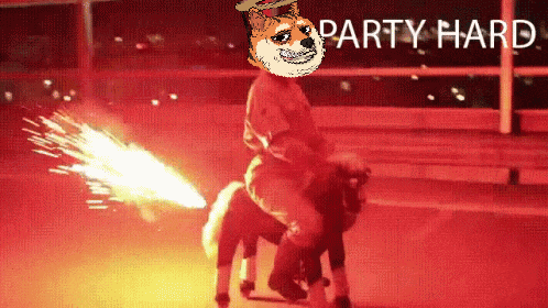 a doge riding a pony with the words party hard above
