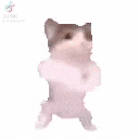 a hamster is standing on its hind legs with its paws up in the air .