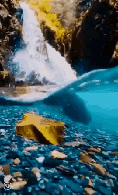 Water Is Life GIF - Water Is Life GIFs