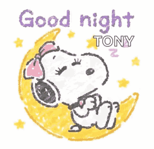 snoopy is sleeping on the moon with the words `` good night tony '' written on it .