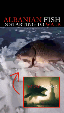 an advertisement for albanian fish starting to walk